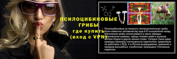 ПСИЛОЦИБИНОВЫЕ ГРИБЫ Кукмор