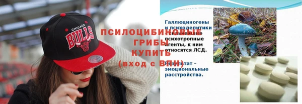 ПСИЛОЦИБИНОВЫЕ ГРИБЫ Кукмор