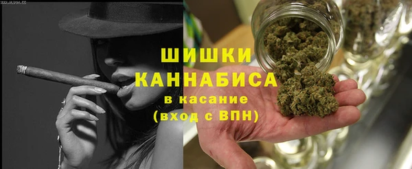 ПСИЛОЦИБИНОВЫЕ ГРИБЫ Кукмор