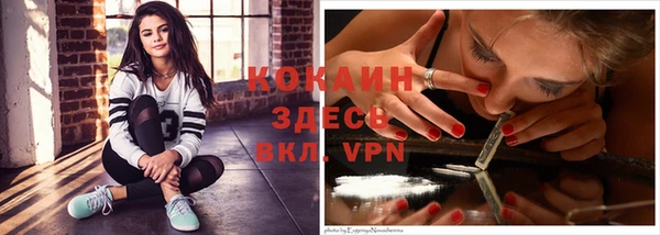 ПСИЛОЦИБИНОВЫЕ ГРИБЫ Кукмор