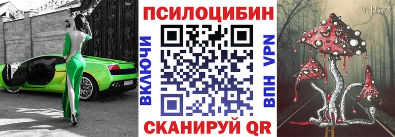 Псилоцибиновые грибы Cubensis  даркнет сайт  Луга 